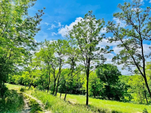 Eladó telek Balatonboglár 7956 nm