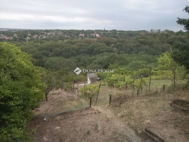 Eladó telek Kökény 1663 nm