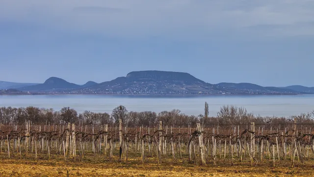 Eladó telek Balatonkeresztúr 4647 nm