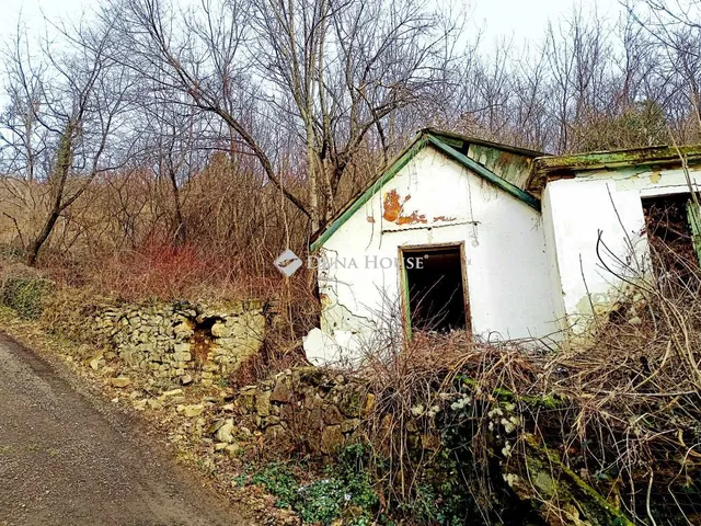 Eladó telek Pécs, Szkókó tető köz 1901 nm