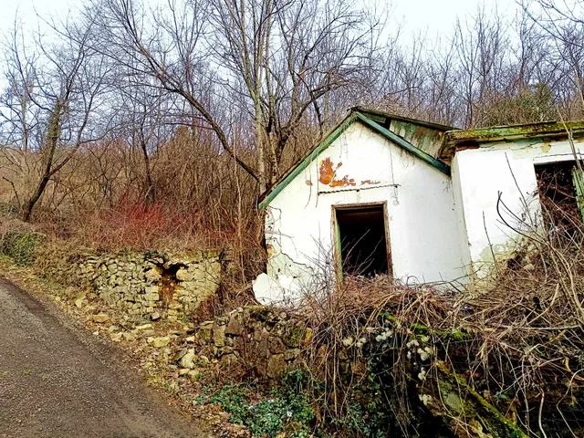 Eladó telek Pécs, Szkókó tető köz 1901 nm