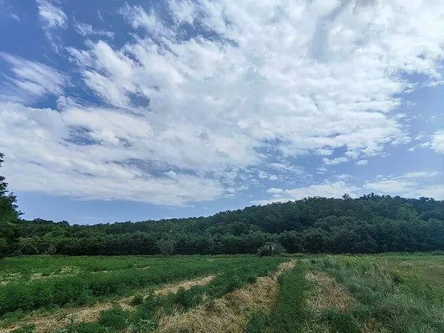 Eladó telek Bonyhádvarasd, Nincs utca 35000 nm