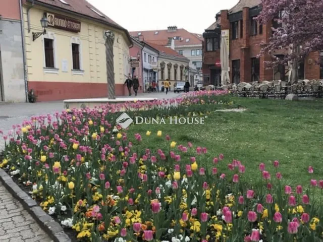 Kiadó kereskedelmi és ipari ingatlan Pécs, Citrom utca 138 nm