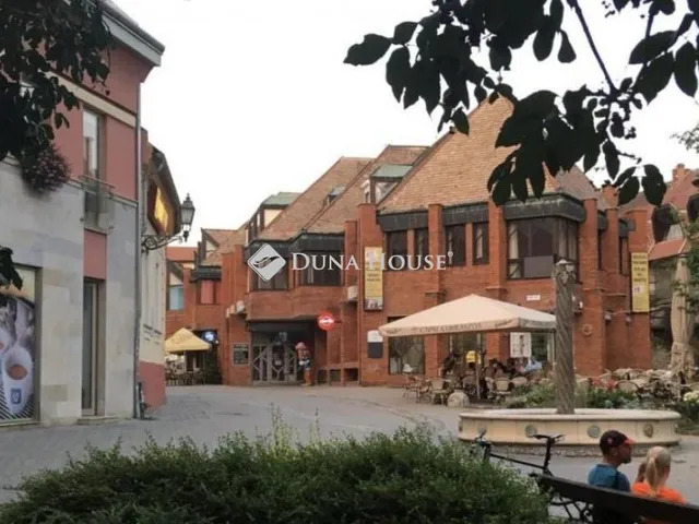 Kiadó kereskedelmi és ipari ingatlan Pécs, Citrom utca 138 nm