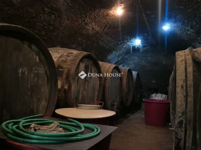 Eladó mezőgazdasági ingatlan Dúzs 600 nm