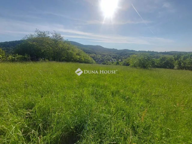 Eladó telek Hosszúhetény 6331 nm