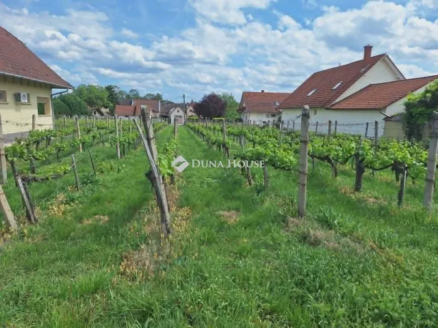 Eladó telek Villány 1212 nm