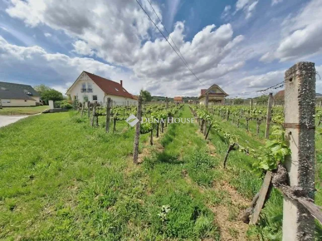 Eladó telek Villány 1212 nm