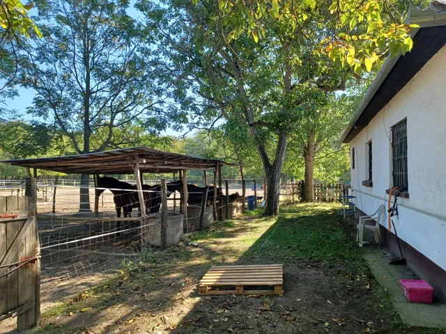 Eladó mezőgazdasági ingatlan Tatárszentgyörgy 90 nm