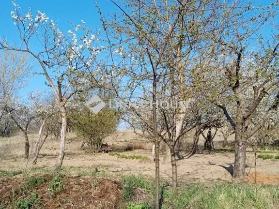Eladó telek Őrbottyán 720 nm