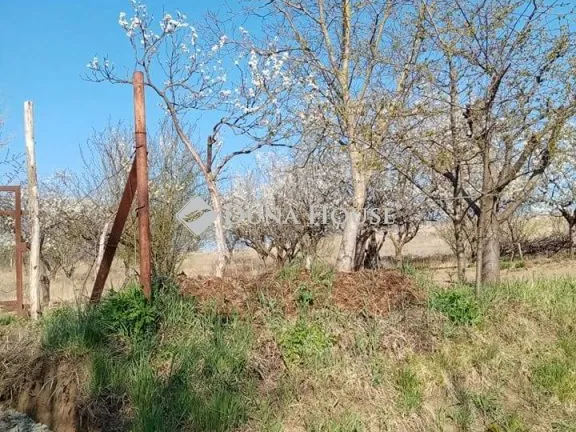 Eladó telek Őrbottyán 720 nm