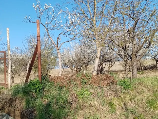 Eladó telek Őrbottyán 720 nm