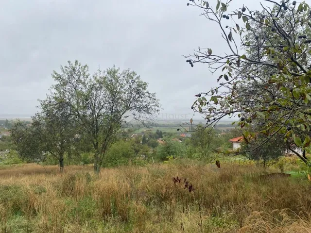 Eladó telek Pákozd 1962 nm