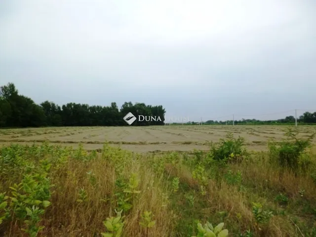 Eladó telek Kecskemét 3836 nm
