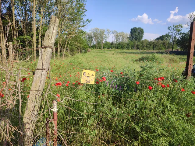 Eladó telek Kecskemét 6477 nm