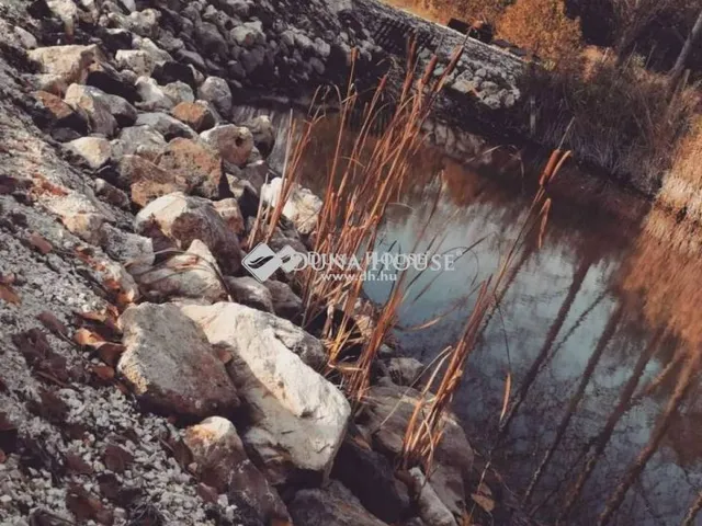 Eladó telek Őrbottyán 25520 nm