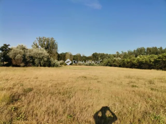 Eladó mezőgazdasági ingatlan Ágasegyháza, Nincs utca 10046 nm