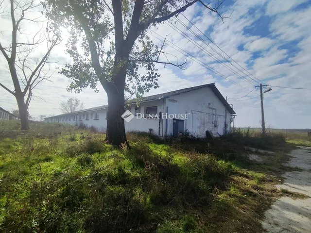 Eladó mezőgazdasági ingatlan Katymár 11429 nm