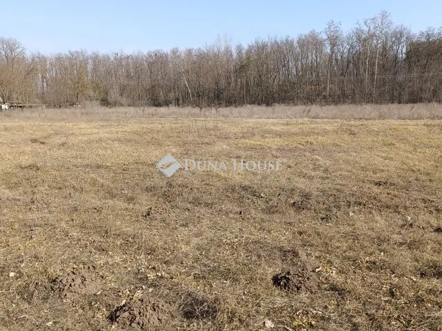 Eladó telek Kecskemét 6000 nm
