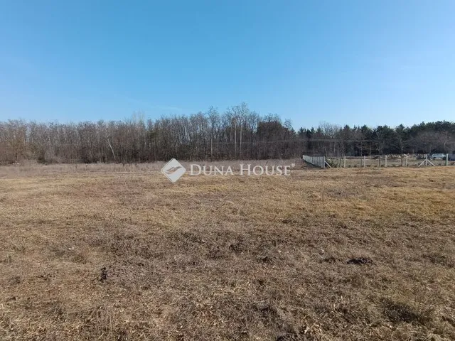 Eladó telek Kecskemét 6000 nm