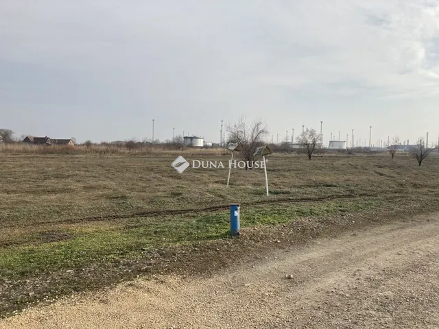 Eladó kereskedelmi és ipari ingatlan Algyő 82816 nm