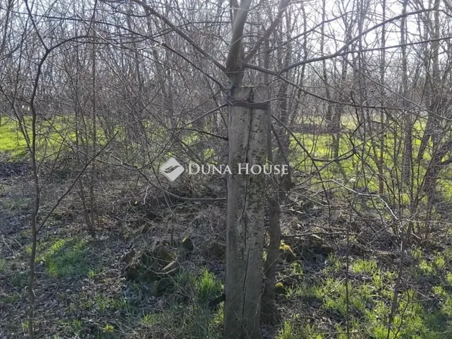 Eladó telek Kecskemét 1412 nm