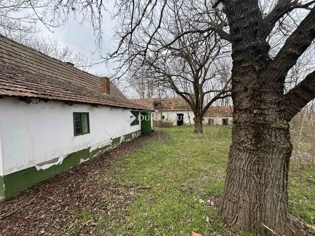 Eladó mezőgazdasági ingatlan Kecskemét 160 nm