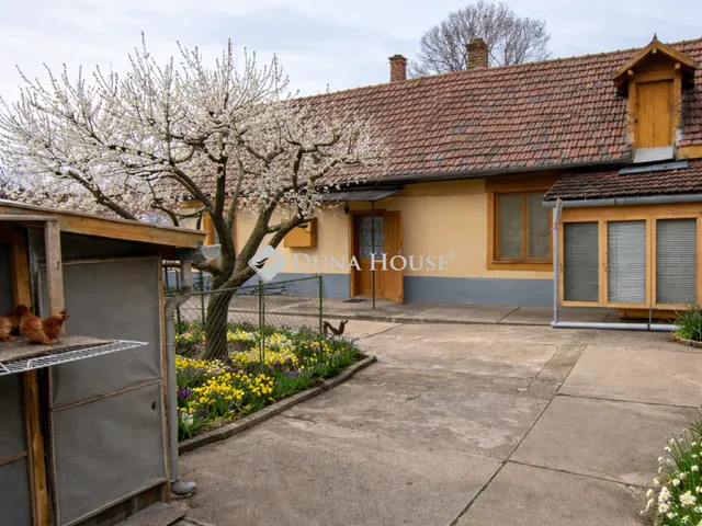 Eladó ház Kecskemét 100 nm