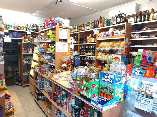 Kiadó kereskedelmi és ipari ingatlan Kecskemét 50 nm