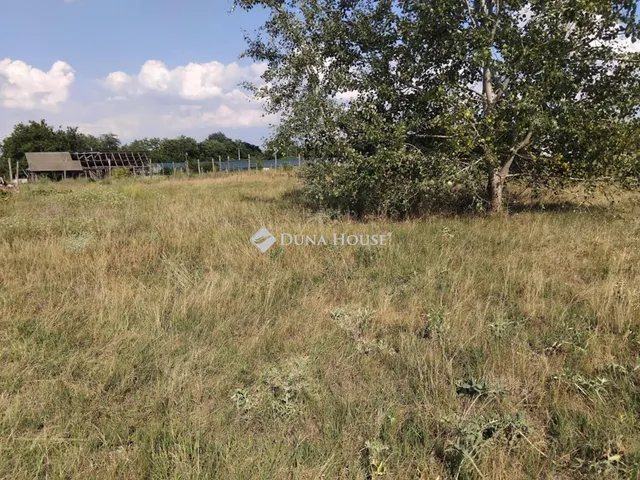 Eladó mezőgazdasági ingatlan Lajosmizse 1156 nm
