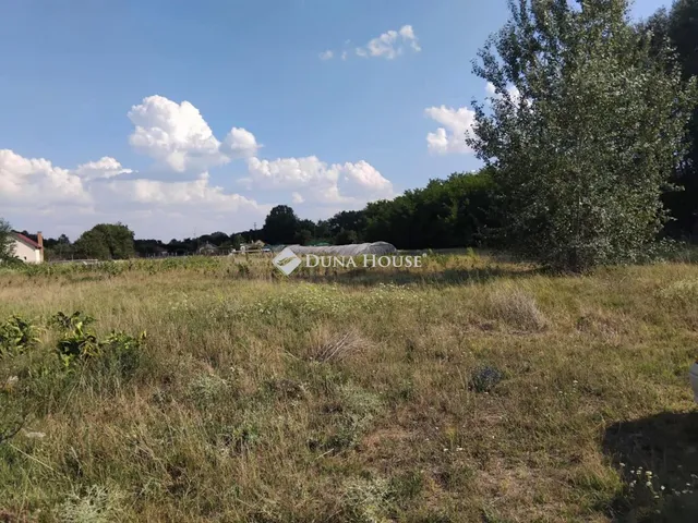 Eladó mezőgazdasági ingatlan Lajosmizse 1156 nm
