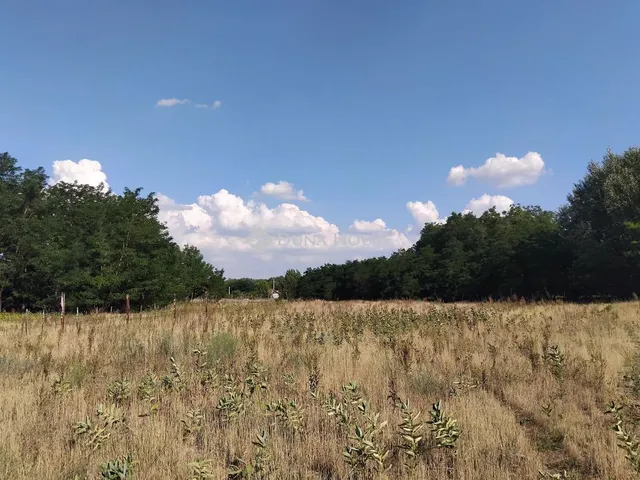 Eladó mezőgazdasági ingatlan Lajosmizse 1080 nm