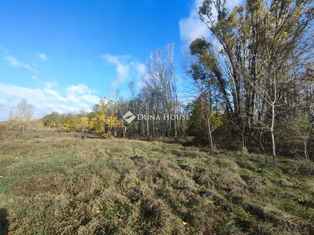 Eladó telek Kecskemét, Szarkás tanya 15329 nm