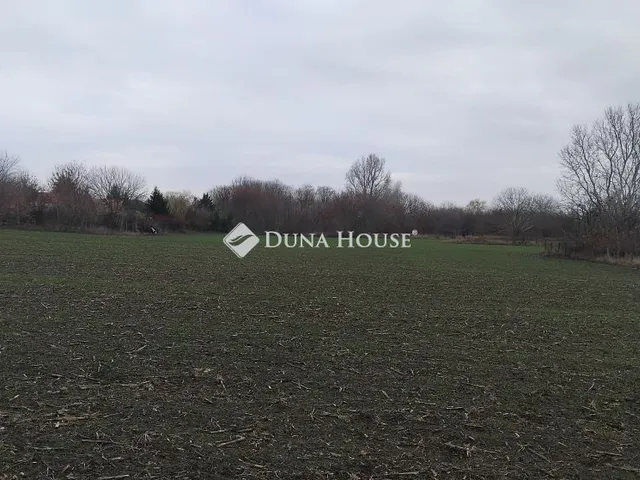 Eladó telek Kecskemét 21826 nm