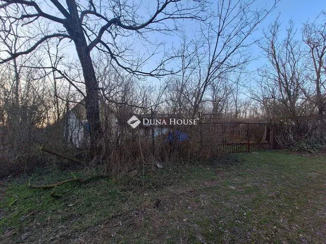 Eladó mezőgazdasági ingatlan Ballószög 2212 nm