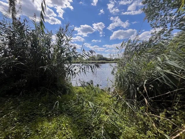 Eladó telek Tiszaug 806 nm