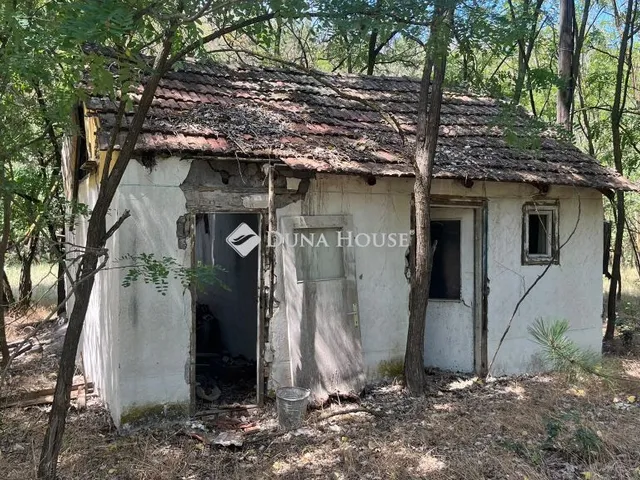 Eladó mezőgazdasági ingatlan Helvécia