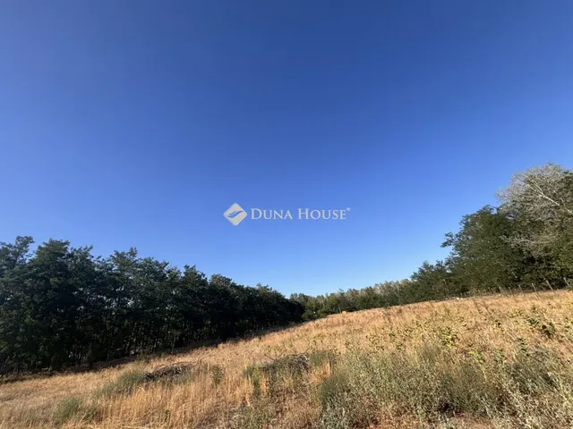 Eladó telek Kecskemét, Hetény-Belsőnyir tanya 4690 nm