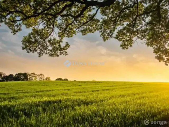 Eladó telek Kecskemét, Hetény-Belsőnyir tanya 5755 nm