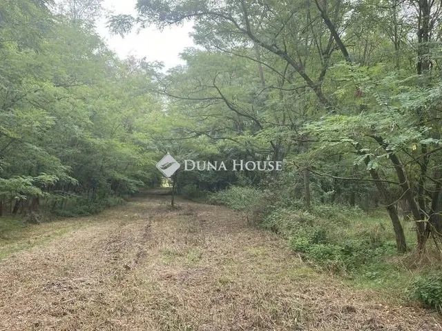 Eladó telek Vitnyéd 60772 nm