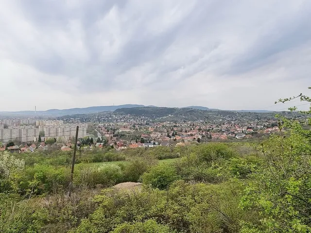 Eladó telek Budapest III. kerület 3062 nm