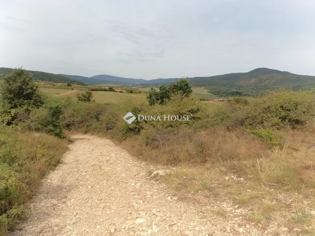 Eladó mezőgazdasági ingatlan Pomáz 1391 nm