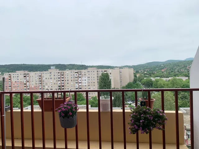 Eladó lakás Budapest III. kerület 50 nm