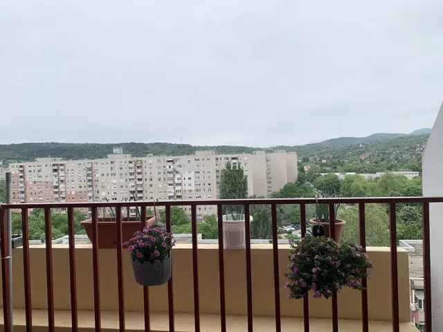 Eladó lakás Budapest III. kerület 50 nm
