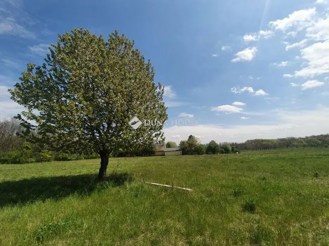Eladó mezőgazdasági ingatlan Borsosberény