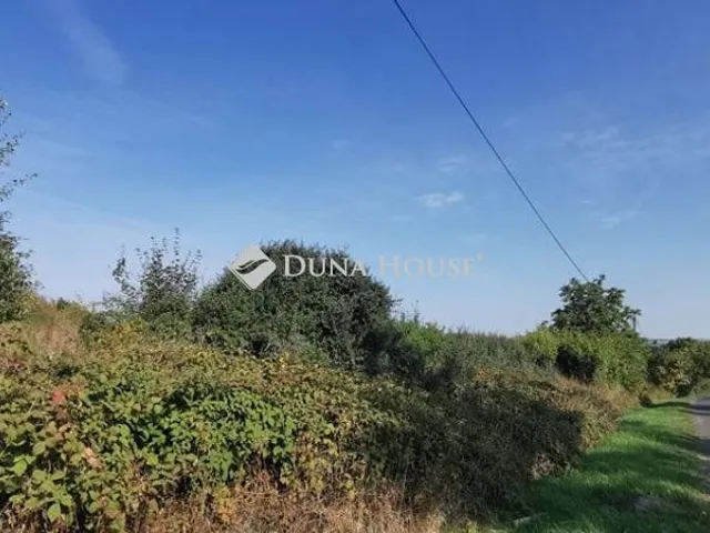 Eladó telek Erdőkürt 3139 nm