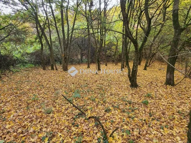 Eladó telek Verőce 611 nm