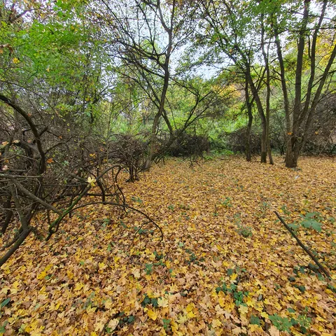 Eladó telek Verőce, Magyarkúti út 611 nm