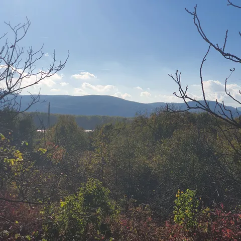 Eladó telek Verőce, Guruntyi dűlő 2949 nm