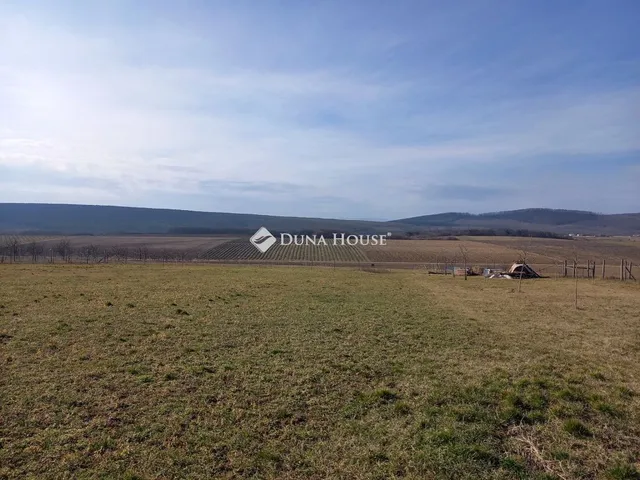 Eladó telek Berkenye 3036 nm